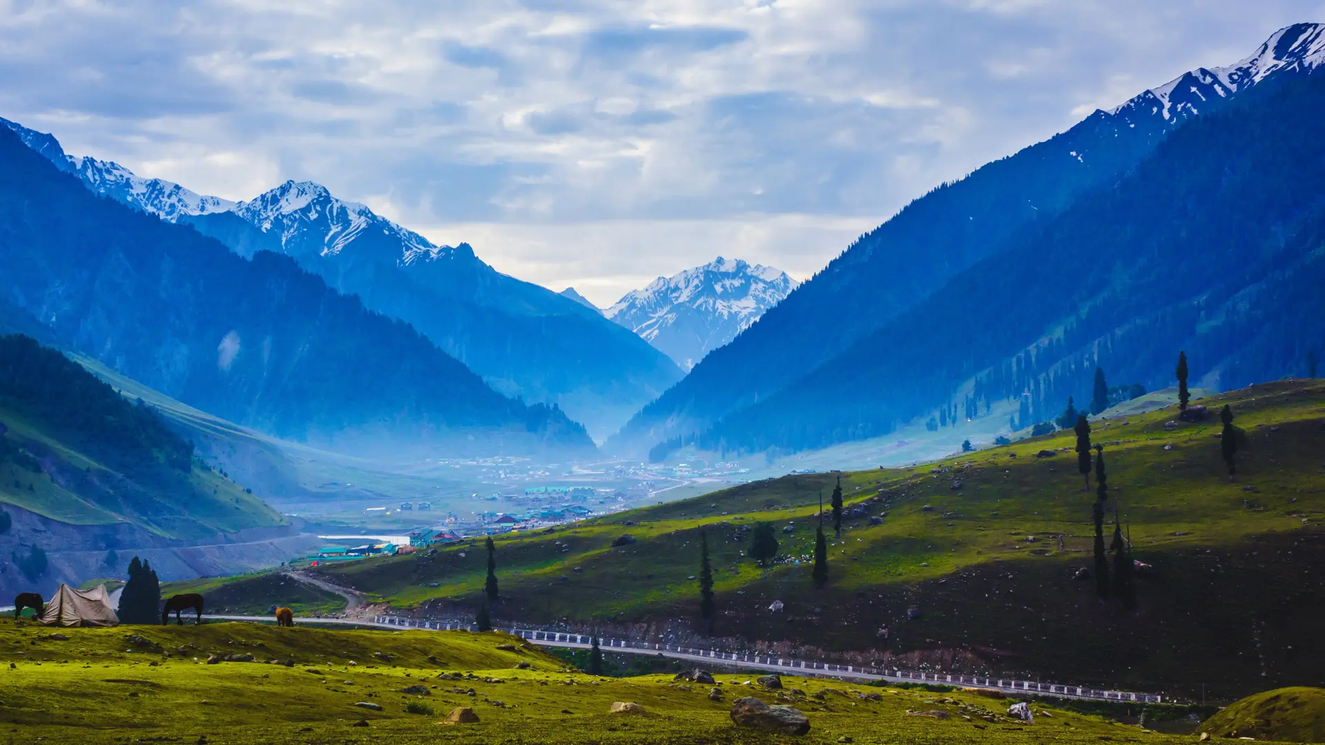 Kashmir