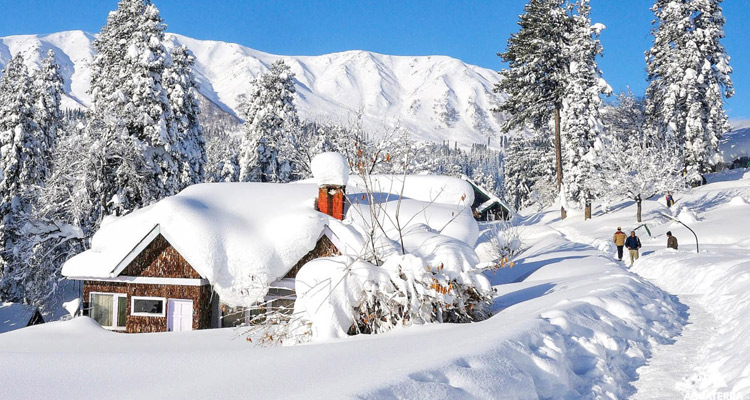 Kashmir Basic Tour