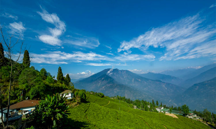 Darjeeling Pelling Package